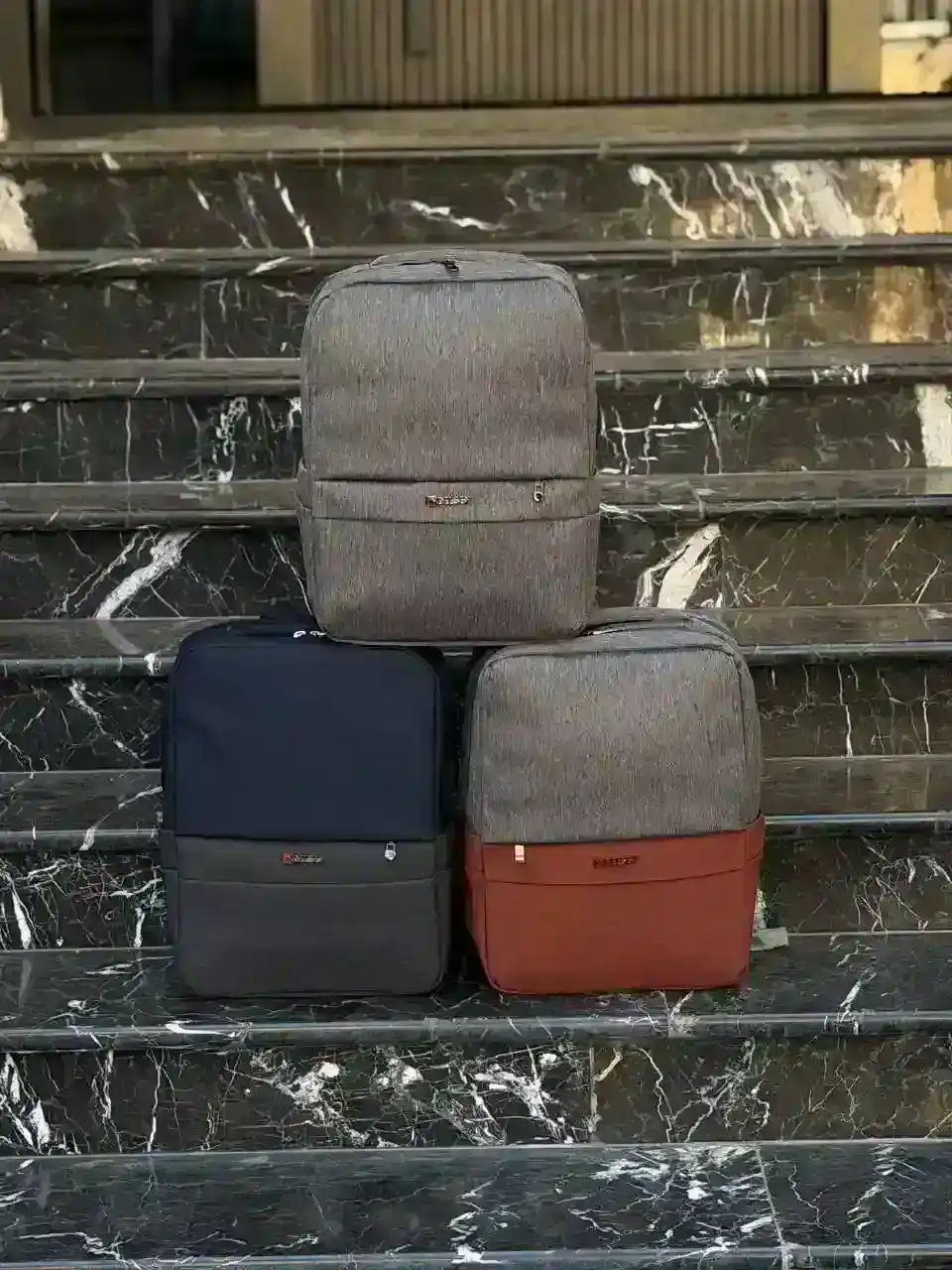 کوله پشتی Delsey مدل D709 مناسب برای لپتاپ های تا سایز 15.6 اینچ